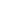 old-typical-phone.png